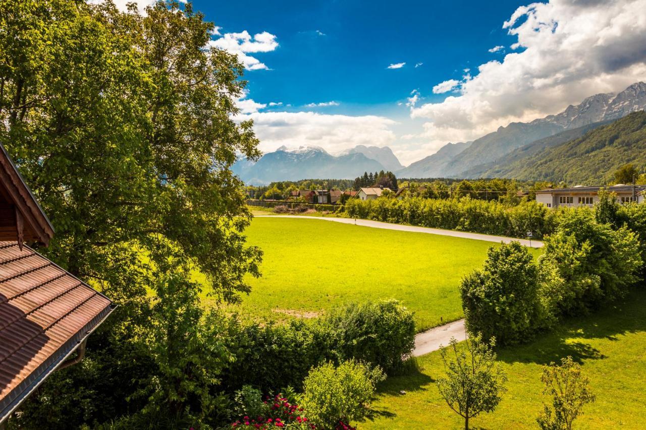 Bauernbraugut Apartment Hallein Luaran gambar